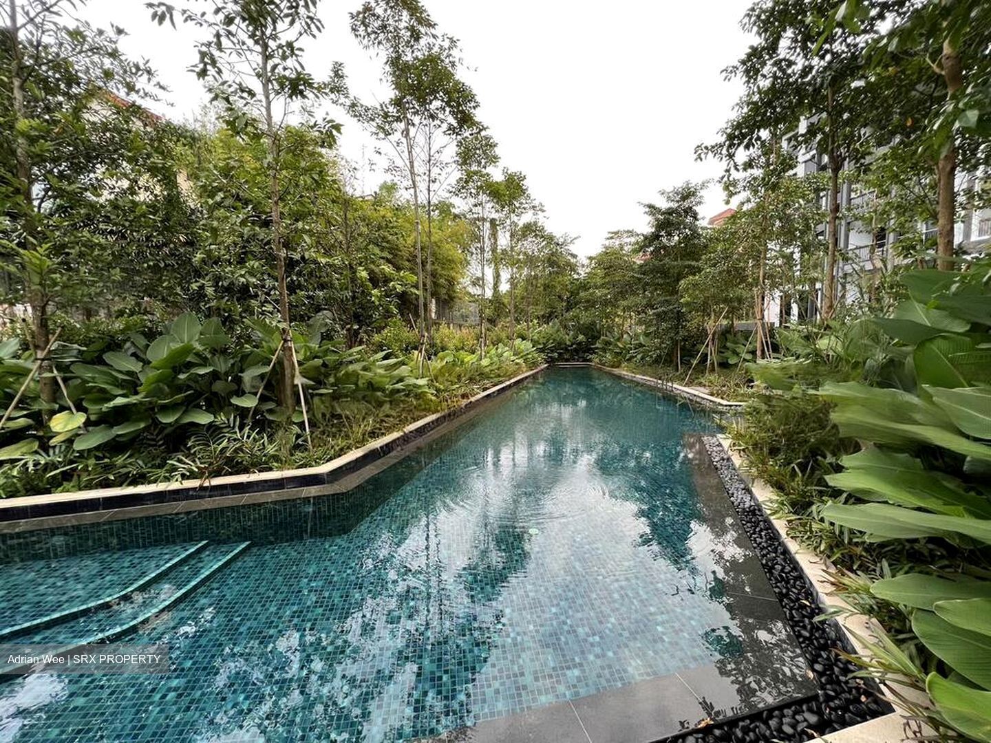 Mayfair Gardens (D21), Condominium #460665381